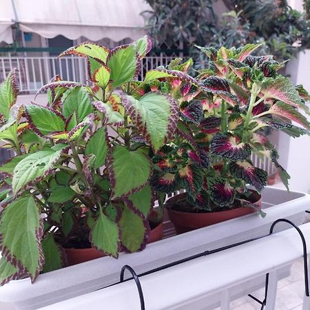 Athens Lovio Apartment Exterior foto