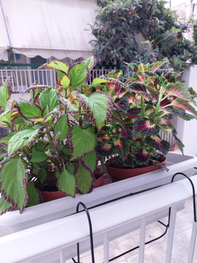 Athens Lovio Apartment Exterior foto